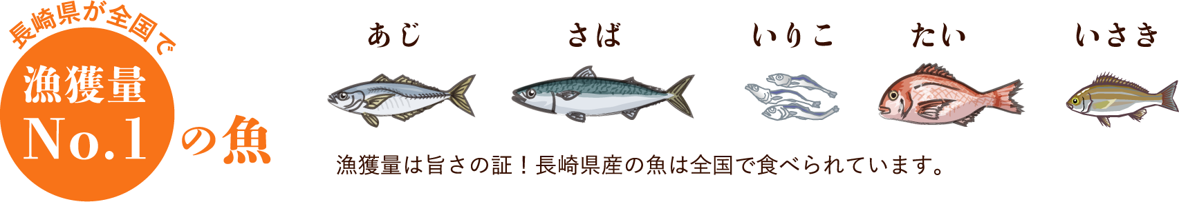 長崎県が全国で漁獲量No.1の魚