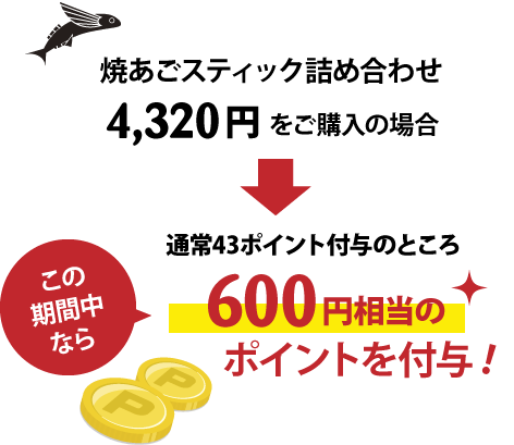 4,320円をご購入の場合600円相当のポイントを付与!